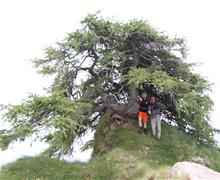IMG_3809